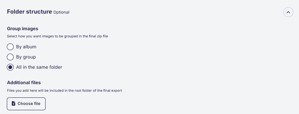 Folder structure options for custom export.