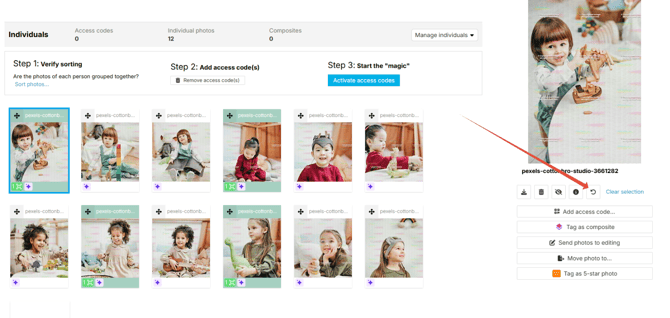 Individuals section with sorted photos, access codes, and the reset icon in the detail panel