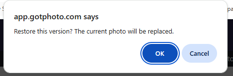 Confirmation dialog asking to restore the version, warning that the current photo will be replaced