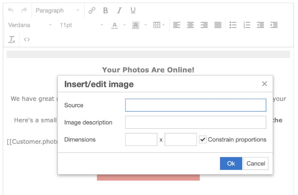 Field to paste image URL in the insertion dialog