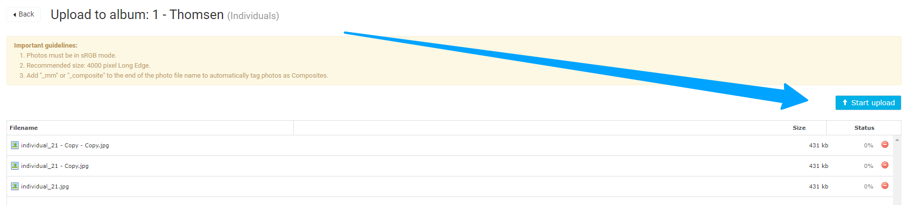 Start upload button in the upload window.