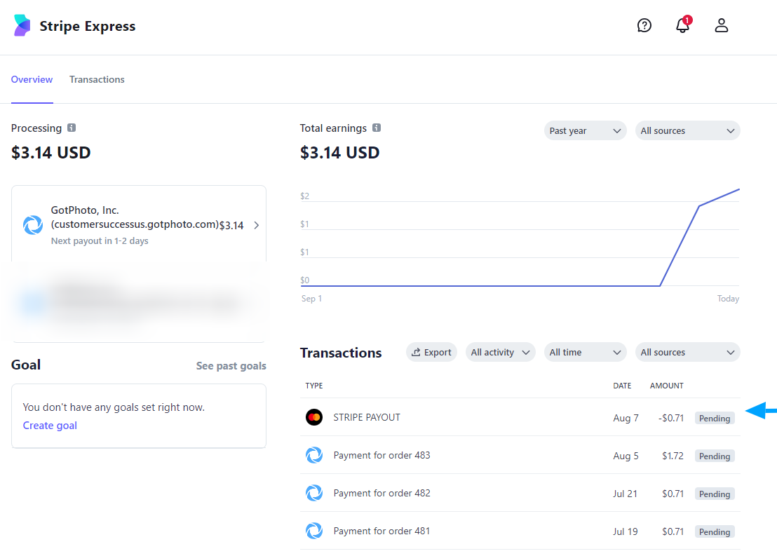 Stripe pending balance view