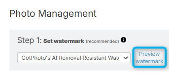 Preview watermark link in Photo Management tab.