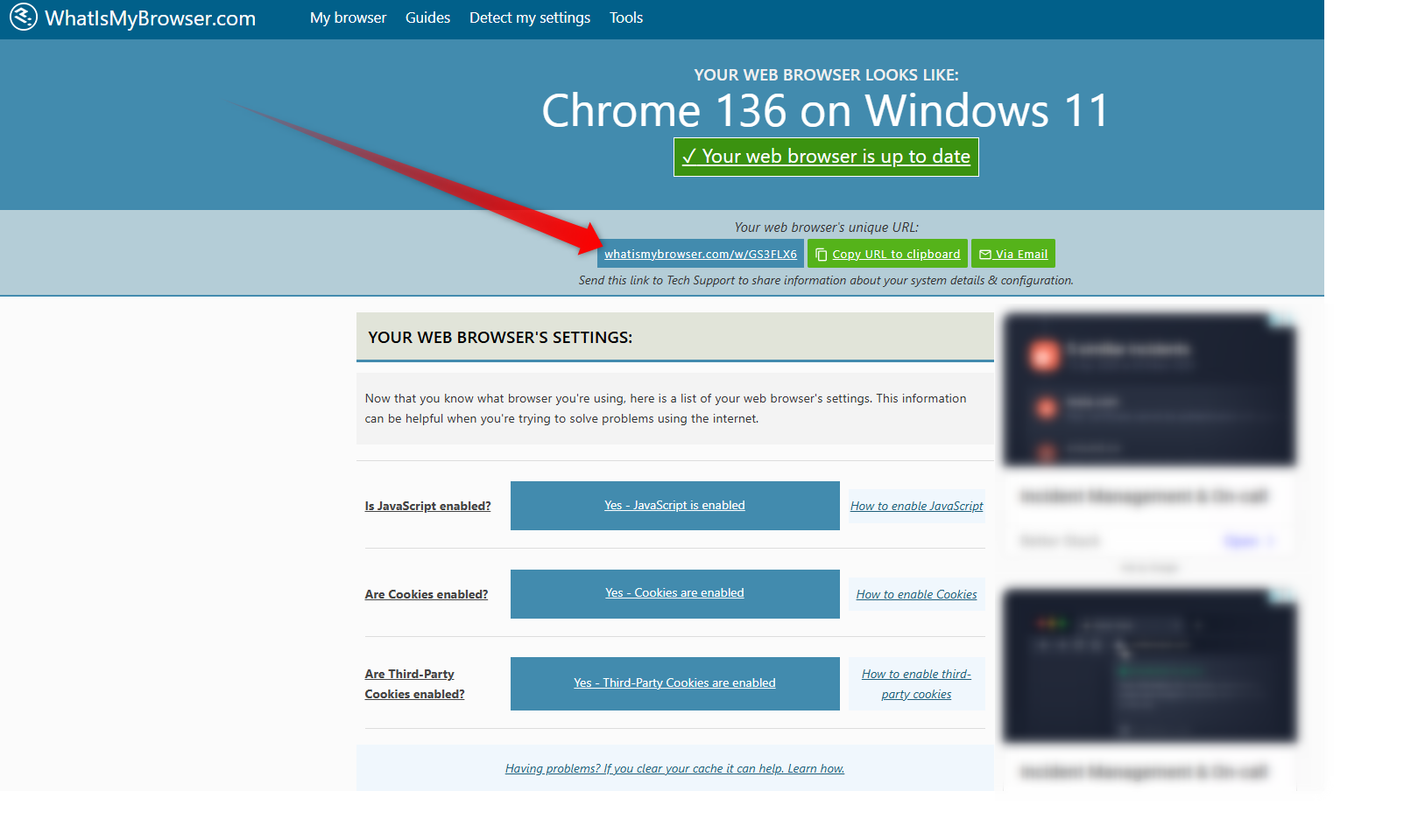 Customer browser compatibility view
