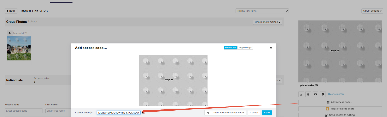 Placeholder image is tagged with multiple access codes.