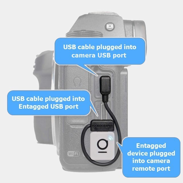 An image showing the Entagged N2 device connected to the side of a Nikon Z6 III camera, with the cable routed to the USB port.