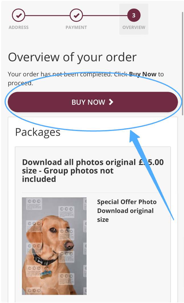 Checkout page showing BUY NOW button after Apple Pay authorization.
