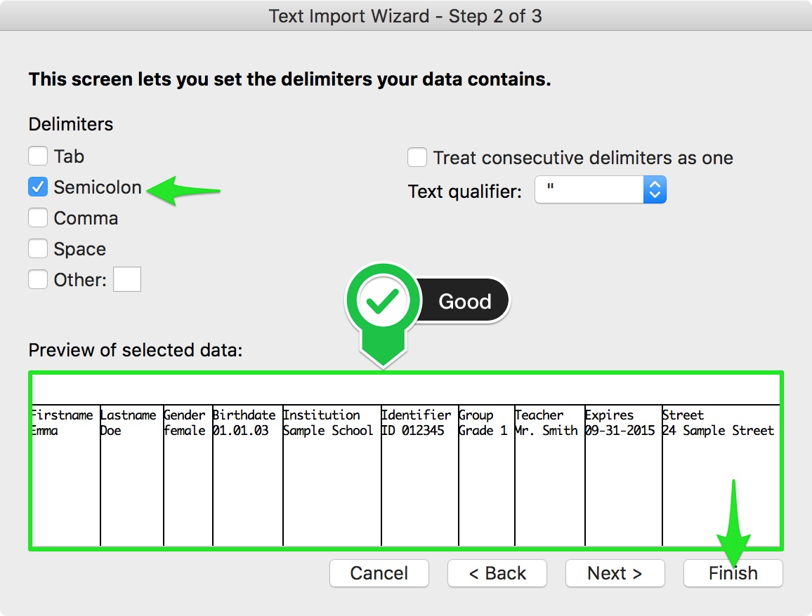 Screenshot of import wizard selecting semicolon delimiter