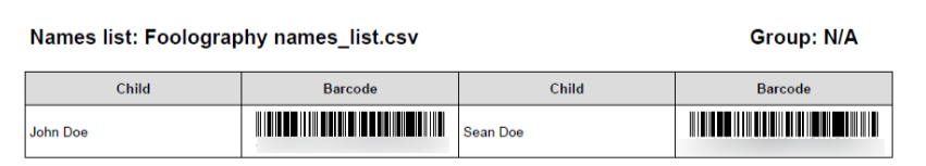 A preview of a generated PDF with barcodes