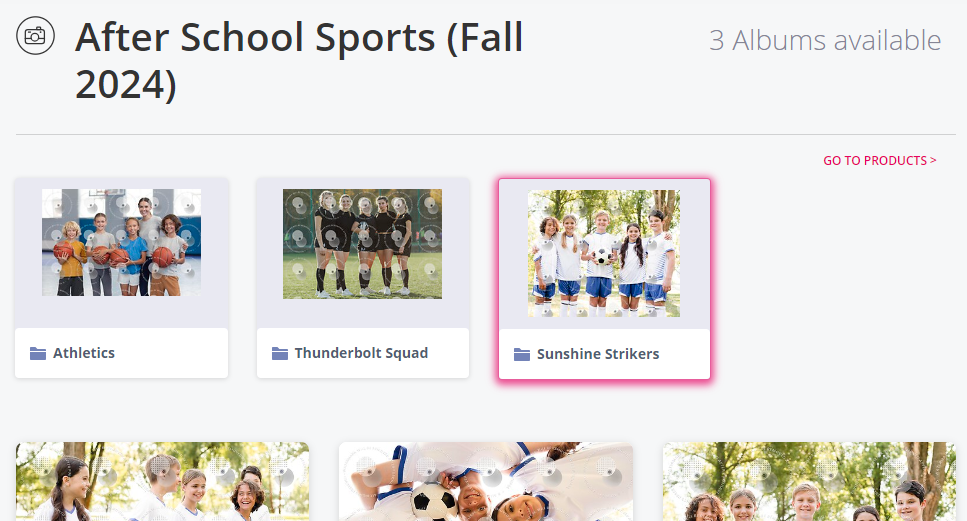 Multiple albums with distinct cover photos in overview