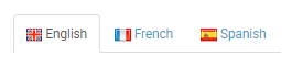 Language tabs for adding translations