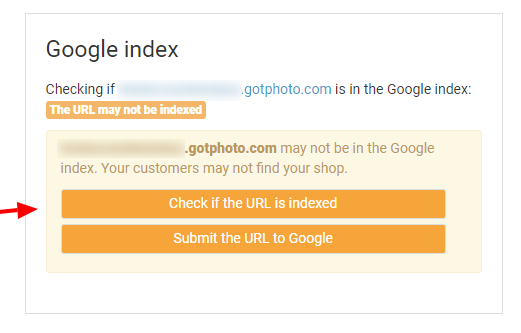 Google Index status indicator examples